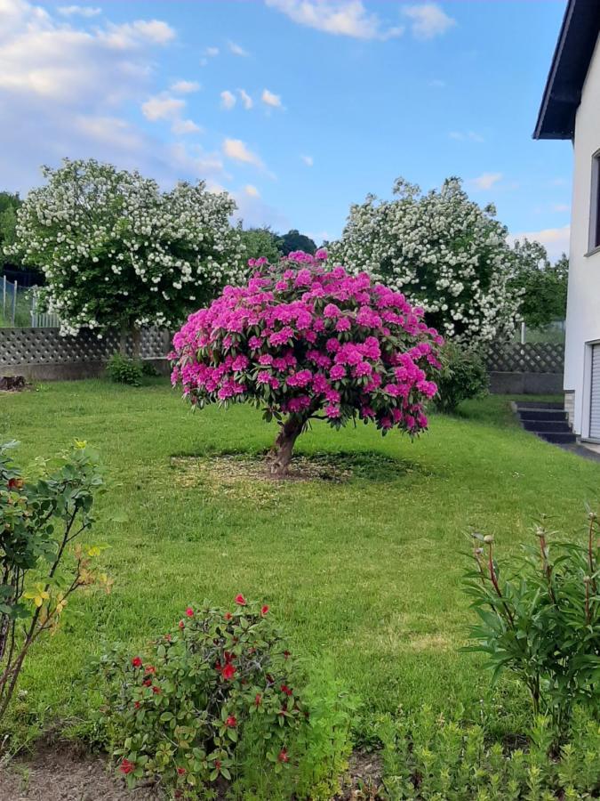 Ferienwohnung Fulbier Oberzissen Kültér fotó